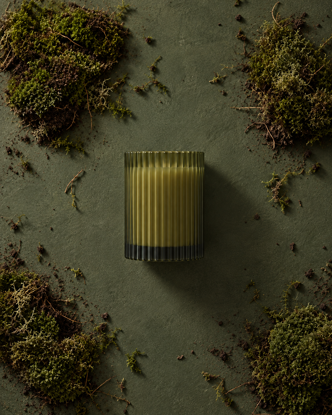 Salt & Cedar | Coconut Wax